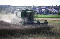 Rottenburg (Kreis Tuebingen) Schmuckbild: Rapsernte 2024, Maehdrescher