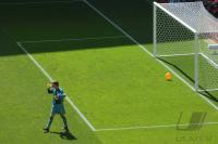 Fussball WM 2006: Serbien-Montenegro - Holland