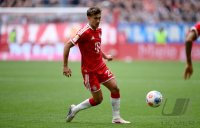 Fussball  1. Bundesliga   Saison 2025/2026     34. Spieltag  FC Bayern Muenchen - 1. FC Koeln