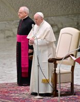 Rom Generalaudienz Papst Franziskus I.