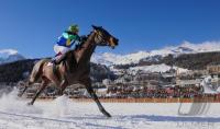 White Turf  St. Moritz 2010
