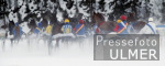 REITSPORT White Turf St. Moritz Traberrennen Feature