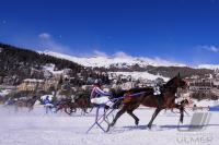 White Turf  St. Moritz 2010