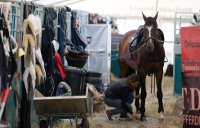 Reiten Tuebinger Landeschampionat 2017