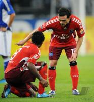 FUSSBALL, 1. BUNDESLIGA, 10. Spieltag: Hamburg, TROCHOWSKI und ZE ROBERTO