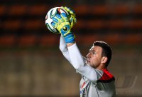 Fussball International Testspiel: Torwart Stipe Pletikosa (Kroatien)