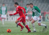 Fussball  :  GOMEZ (FC Bayern Muenchen)