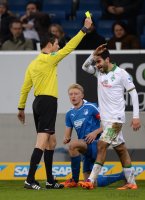 Fussball  1. Bundesliga  13/14: TSG 1899 Hoffenheim - SV Werder Bremen