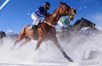 White Turf  St. Moritz 2010