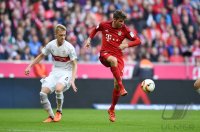 Fussball 1. Bundesliga Saison 15/16: FC Bayern Muenchen - VfB Stuttgart