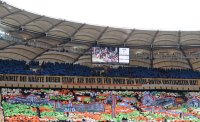 Fussball  1. Bundesliga  14/15: Fanchoreographie VfB Stuttgart