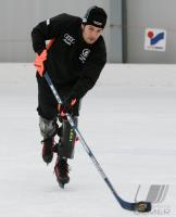 Ski Alpin  Herren Abfahrt Wengen