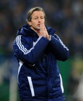 Fussball, DFB Pokal, Saison 12/13: FC Schalke 04 - FSV Mainz 05