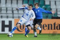 Fussball WM-Qualifikation:    IBISEVIC (Bosnien-Herzegowina)