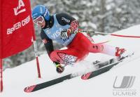 Ski Alpin; Abfahrt Training  Herren