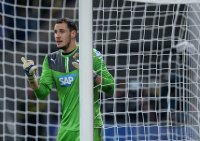 Fussball  1. Bundesliga  13/14: Torwart Jens Grahl (TSG 1899 Hoffenheim)