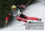 Ski Alpin; WM Bormio Riesenslalom Herren