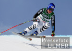 SKI  WM 2003  St.Moritz Abfahrt Herren