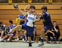 Handball Landesliga 2010/20111