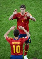 Fussball International Europameisterschaft 2012: Spanien - Irland