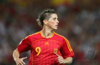 Fussball WM 2006  Spanien - Tunesien 