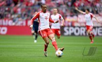Fussball 1. Bundesliga 23/24: FC Bayern Muenchen - VfL Bochum)