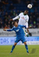 Fussball  1. Bundesliga  13/14: TSG 1899 Hoffenheim - SV Werder Bremen