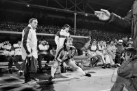 Fussball 1. Bundesliga Saison 1985/1986: Voeller