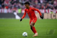 Fussball 1. Bundesliga 24/25: FC Bayern Muenchen - VfL Wolfsburg