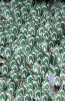 Fussball Saison 1. Bundesliga  Saison 2013/2014: Hamburger SV - SV Werder Bremen