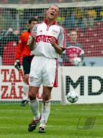 Fussball/ Dundee  (VfB)