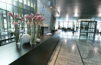 Fussball International Home of FIFA