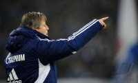Fussball, 1. Bundesliga12/13: FC Schalke 04 - Hannover 96