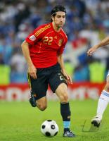 FUSSBALL EURO 2008: Spanien, de la Red