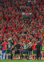 Fussball Europameisterschaft Halbfinale 2016: Portugal - Wales