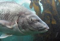 LAND UND LEUTE  FUSSBALL WM 2010