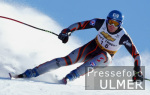 SKI   Weltcup  Abfahrt Herren ; Michael Walchofer (AUT)