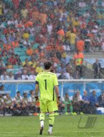 FUSSBALL WM 2014, Gruppenphase: Spanien - Niederlande