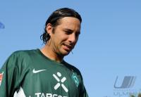 Fussball 1. Bundesliga, Saison 2010/2011, Werder Bremen: PIZARRO