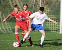 Fussball C-Jugend Landesstaffel 2010/2011