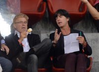 Fussball Europa League Saison 2013/2014: Grasshopper Club Zuerich - AC Florenz