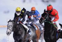 White Turf  St. Moritz 2010
