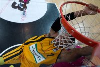 Basketball 1. Bundesliga 13/14:  Walter Tigers Tuebingen - Telekom Baskets Bonn