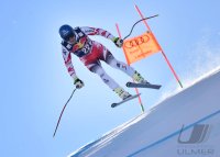 Ski Alpin Training Abfahrt Kitzbuehel 2015: Mayer