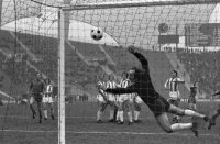 Fussball 1. Bundesliga Saison 1973/1974: Wolter (Hertha)