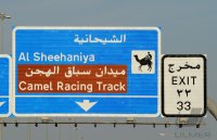 Kamelrennen Doha / Katar