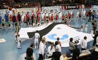 Handball, Deutsche Nationalmannschaft