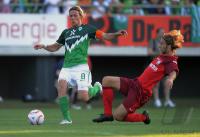 Fussball 1. Bundesliga  Saison 2010/2011   FRITZ   (Werder Bremen)