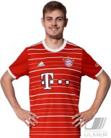Fussball 1. Bundesliga Saison 22/23: Josip Stanisic (FC Bayern Muenchen)