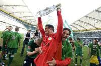 Fussball 1. Bundesliga 08/09  Meister  VfL Wolfsburg